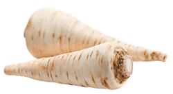 KI generiert: Das Bild zeigt zwei Pastinaken, die auf einer weißen Oberfläche liegen. Sie sind länglich und haben eine helle, beige Farbe mit erdigen Streifen.