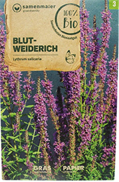 Produktfoto zu Saatgut Blut-Weiderich