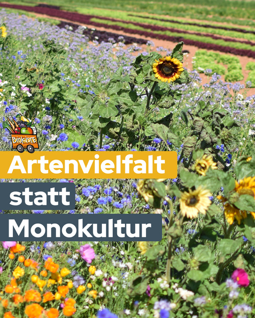 KI generiert: Blumenfeld, Sonnenblumen; Text: "Artenvielfalt statt Monokultur".