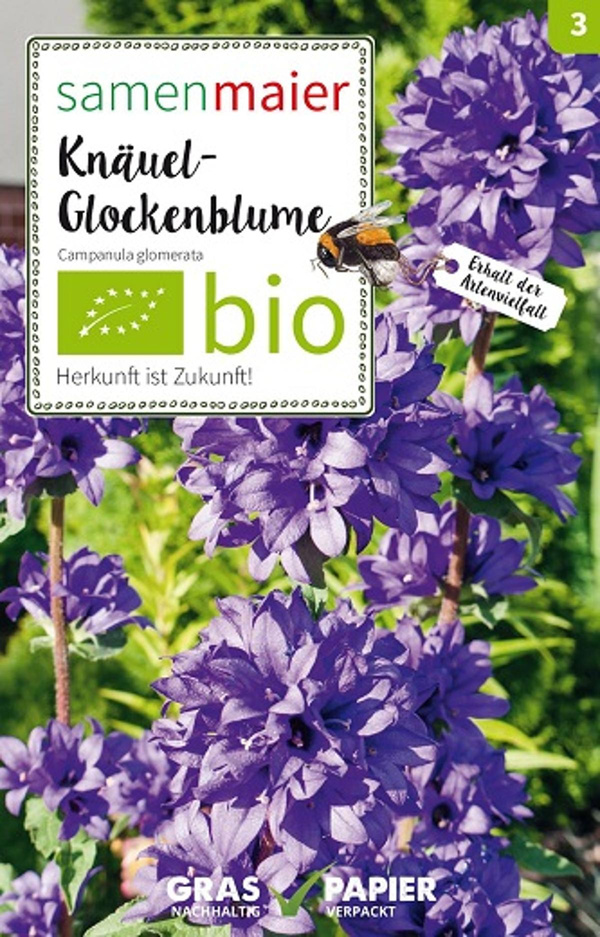 Produktfoto zu Saatgut Knäuel Glockenblume