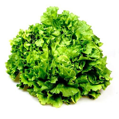 Produktfoto zu Grüner Batavia