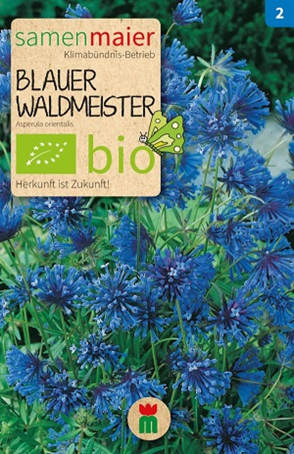 Produktfoto zu Saatgut Blauer Waldmeister