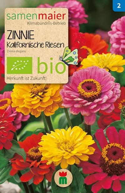 Produktfoto zu Saatgut Zinnie Kalifornische Riesen