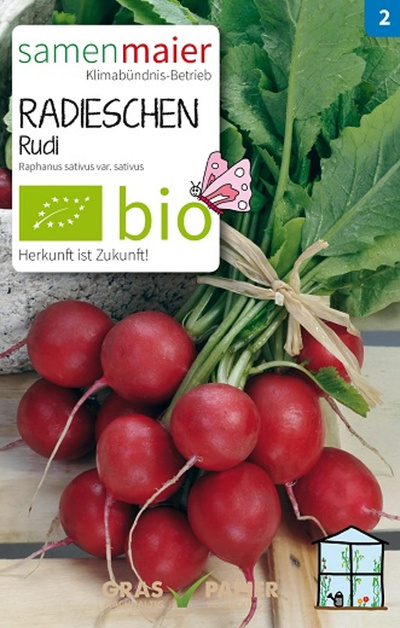Produktfoto zu Saatgut Radieschen Rudi
