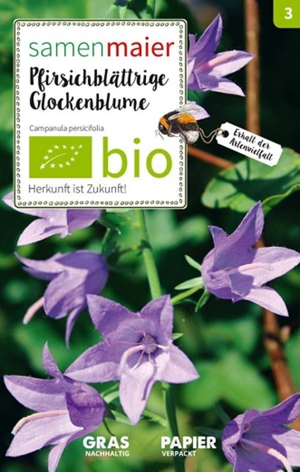 Produktfoto zu Saatgut Pfirsichblättrige Glockenblume