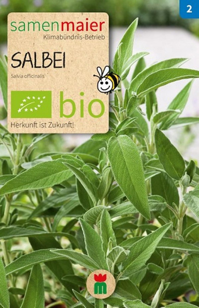 Produktfoto zu Saatgut Salbei