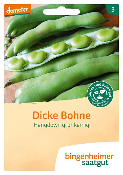 Produktfoto zu Saatgut Dicke Bohne Hangdown