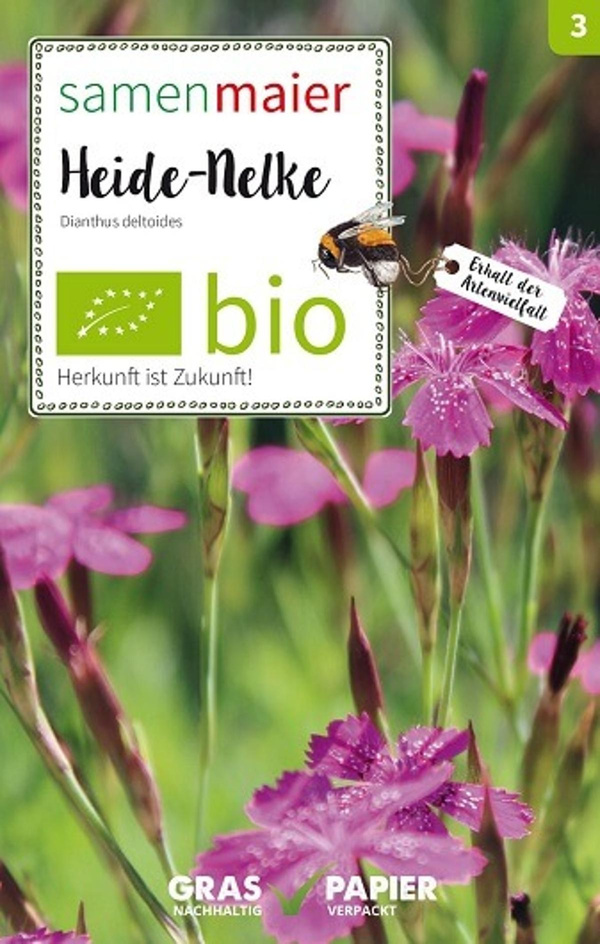 Produktfoto zu Saatgut Heide Nelke