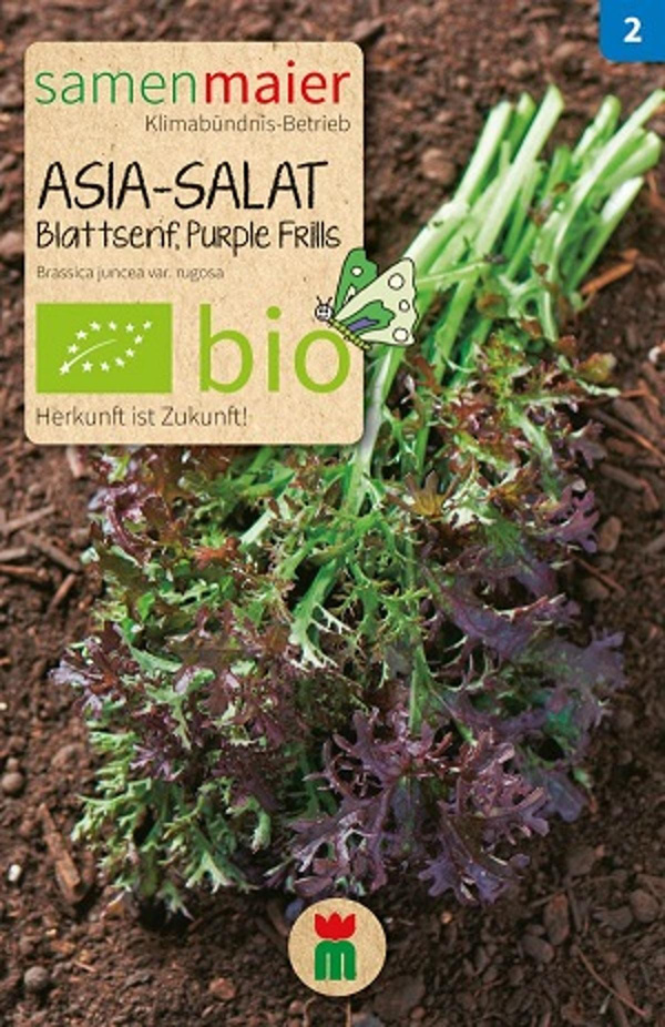 Produktfoto zu Saatgut Asia Salat Purple Frills