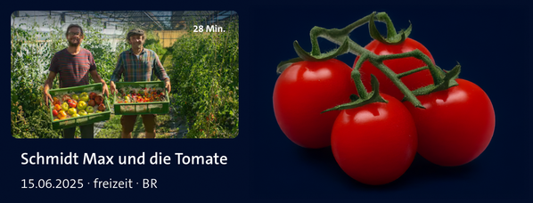 KI generiert: Zwei Männer mit Tomaten, Text: "Schmidt Max und die Tomate, 15.06.2025 • freizeit • BR, 28 Min."