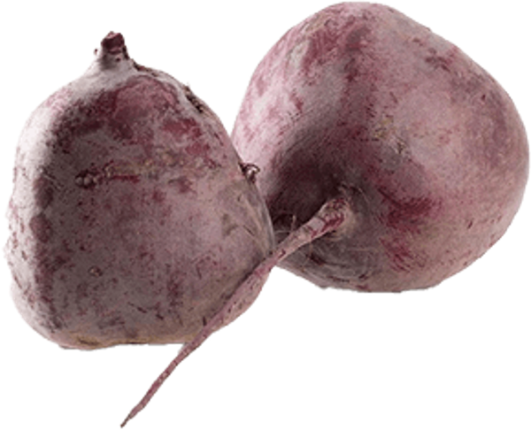 Produktfoto zu Rote Bete XXL - große Knollen!