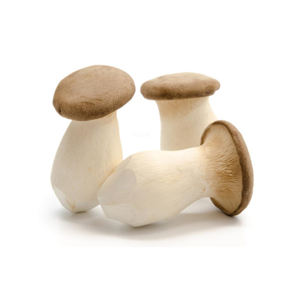 Produktfoto zu Kräuterseitlinge 200 g