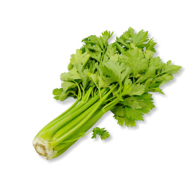 Produktfoto zu Staudensellerie