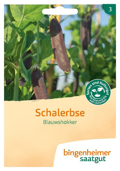 Produktfoto zu Saatgut Schalerbse Blauwshokker