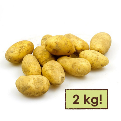 Produktfoto zu Kartoffel fk 2 kg Tüte