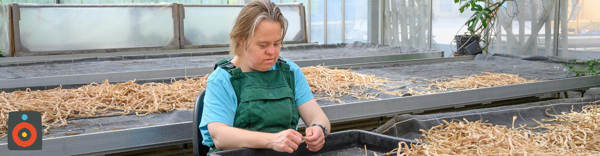 Lebensgemeinschaft Höhenberg