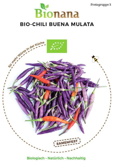Produktfoto zu Saatgut Chili Buena Mulata