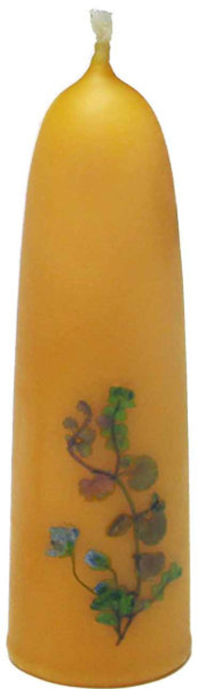 Produktfoto zu Blumenstumpen natur