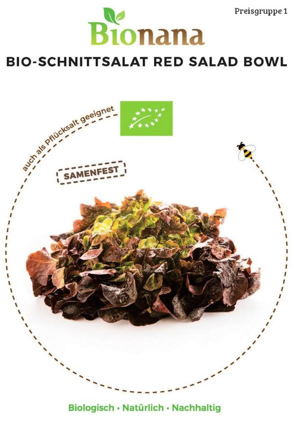 Produktfoto zu Saatgut Schnittsalat Red Salad Bowl