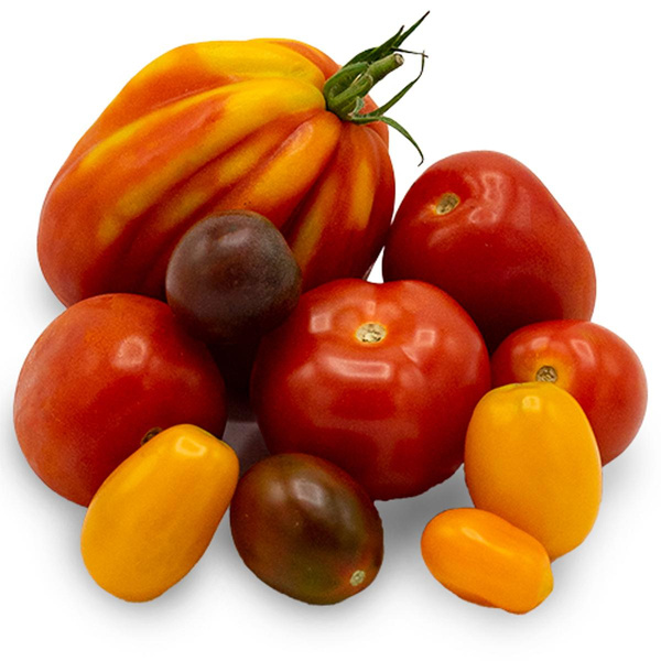 Produktfoto zu Tomaten Cocktail 500 g