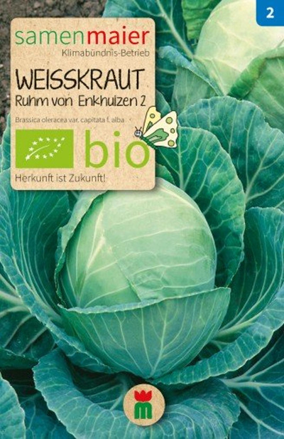 Produktfoto zu Saatgut Weisskraut Ruhm von Enkhuizen 2