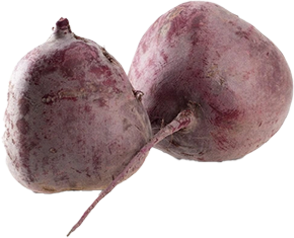 Produktfoto zu Rote Bete XXL - große Knollen!