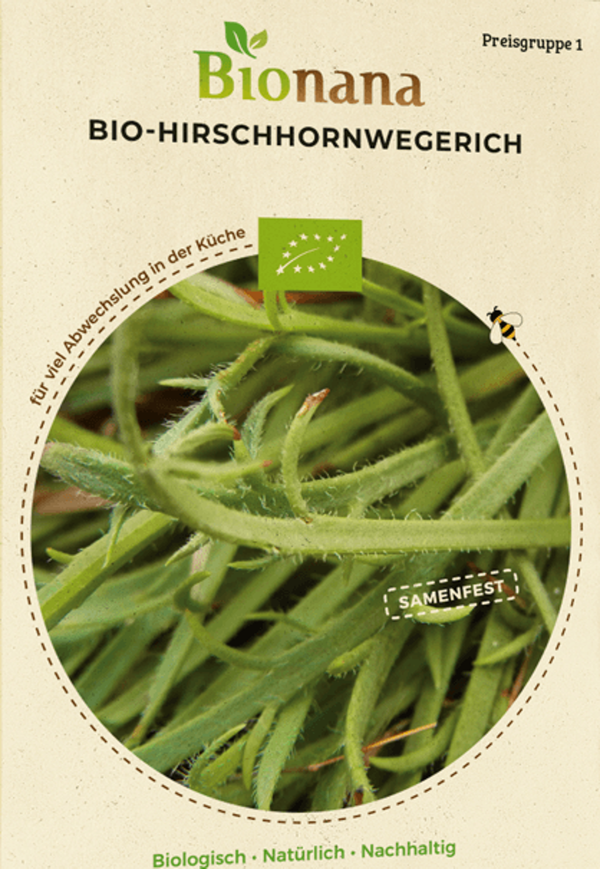 Produktfoto zu Saatgut Hirschhornwegerich