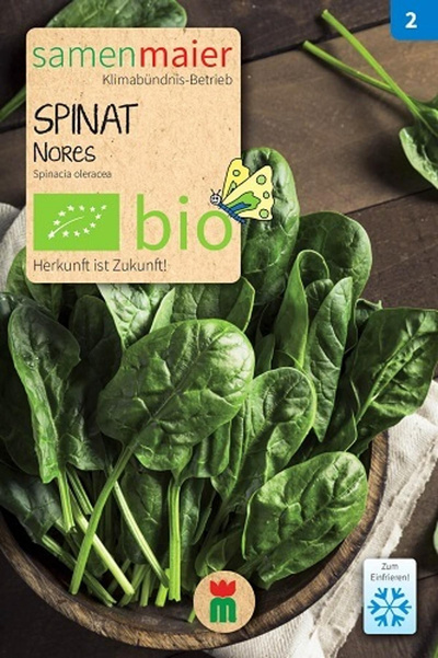 Produktfoto zu Saatgut Spinat Nores