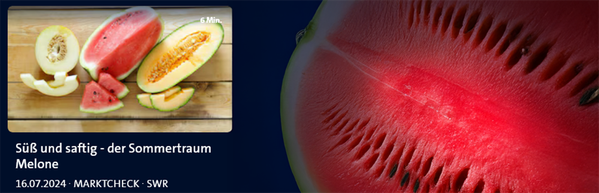 KI generiert: Das Bild zeigt einen Podcast-Player mit der Folge "Noch mehr knackiges Wurzelgemüse" aus der Serie "BIO für die Ohren". Auf der linken Seite sind Wurzeln im Boden zu sehen.