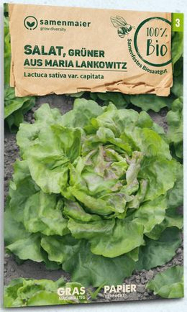 Produktfoto zu Saatgut Salat Grüner aus Maria Lankowitz
