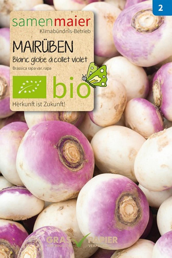 Produktfoto zu Saatgut Mairüben Blanc globe à collet violet