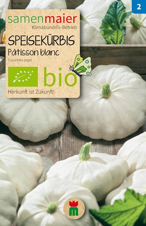 Produktfoto zu Saatgut Speisekürbis Pâttison blanc