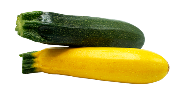 Produktfoto zu Zucchini