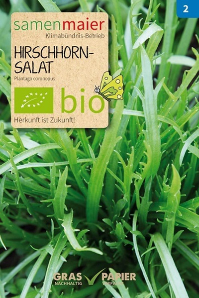 Produktfoto zu Saatgut Hirschhornsalat