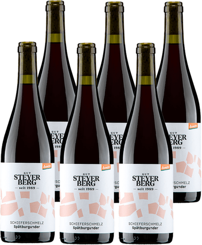 Produktfoto zu Spätburgunder Schmelzer 6 x 0,75 l