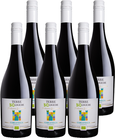 Produktfoto zu Prosecco Vino Frizzante Garganlla Kiste