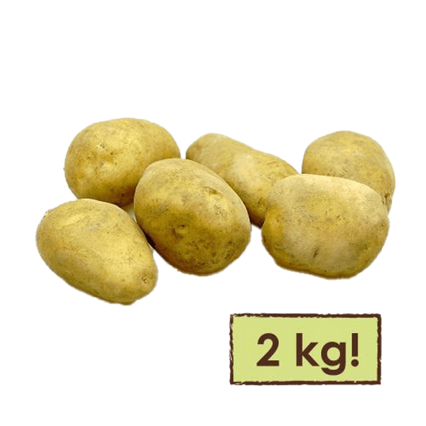 Produktfoto zu Kartoffel SUNITA mehligkochend 2 Kg Tüte