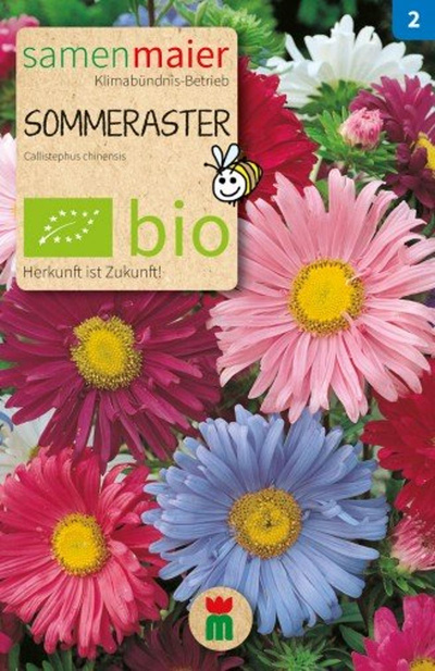 Produktfoto zu Saatgut Sommeraster
