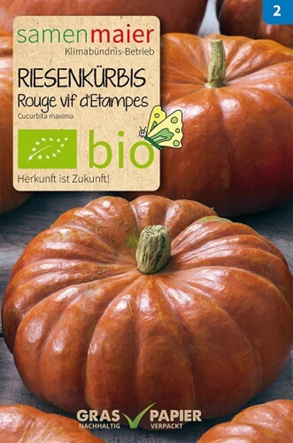 Produktfoto zu Saatgut Riesenkürbis Rouge vif d'Etampes