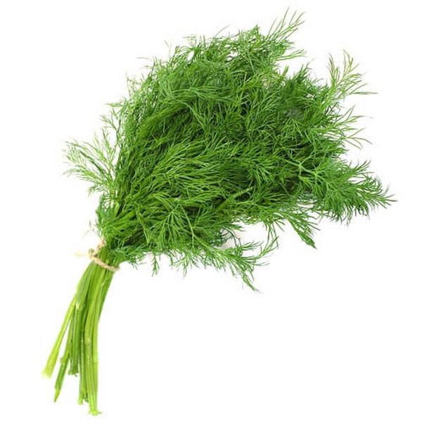 Produktfoto zu Dill Bund