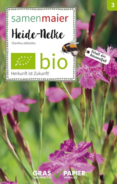 Produktfoto zu Saatgut Heide Nelke