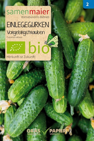Produktfoto zu Saatgut Einlegegurken Vorgebirgstrauben