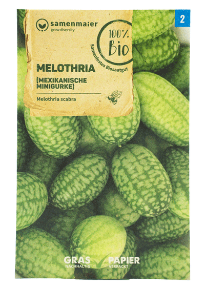 Produktfoto zu Saatgut Melothria (mexikanische Minigurke)