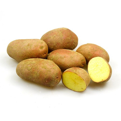 Produktfoto zu Kartoffel rotschalig vfk 12,5 Kg Kiste