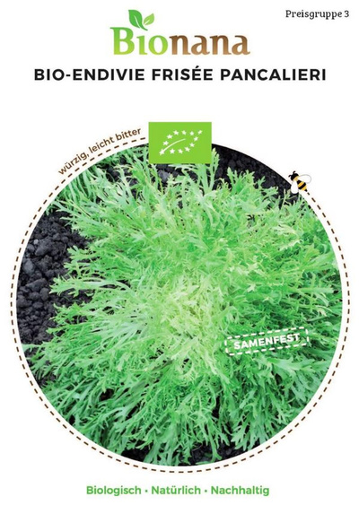 Produktfoto zu Saatgut Endivie Frisée Pancalieri