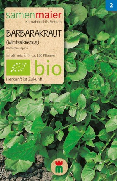 Produktfoto zu Saatgut Barbarakraut (Winterkresse)