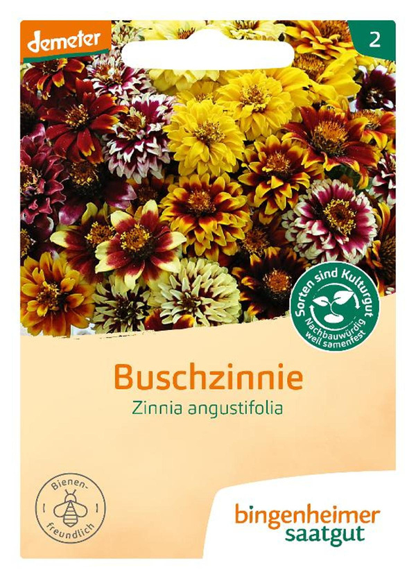 Produktfoto zu Saatgut Buschzinnie