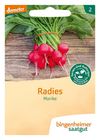 Produktfoto zu Saatgut Radies Marike