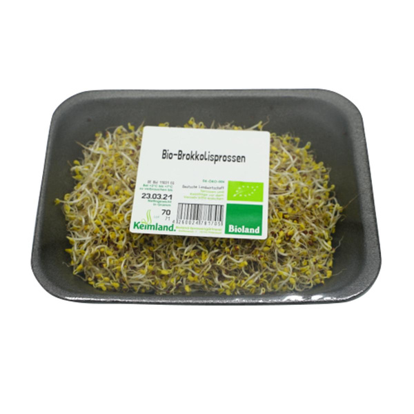 Produktfoto zu Sprossen BROCCOLI