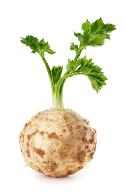 Produktfoto zu Sellerie mit Grün